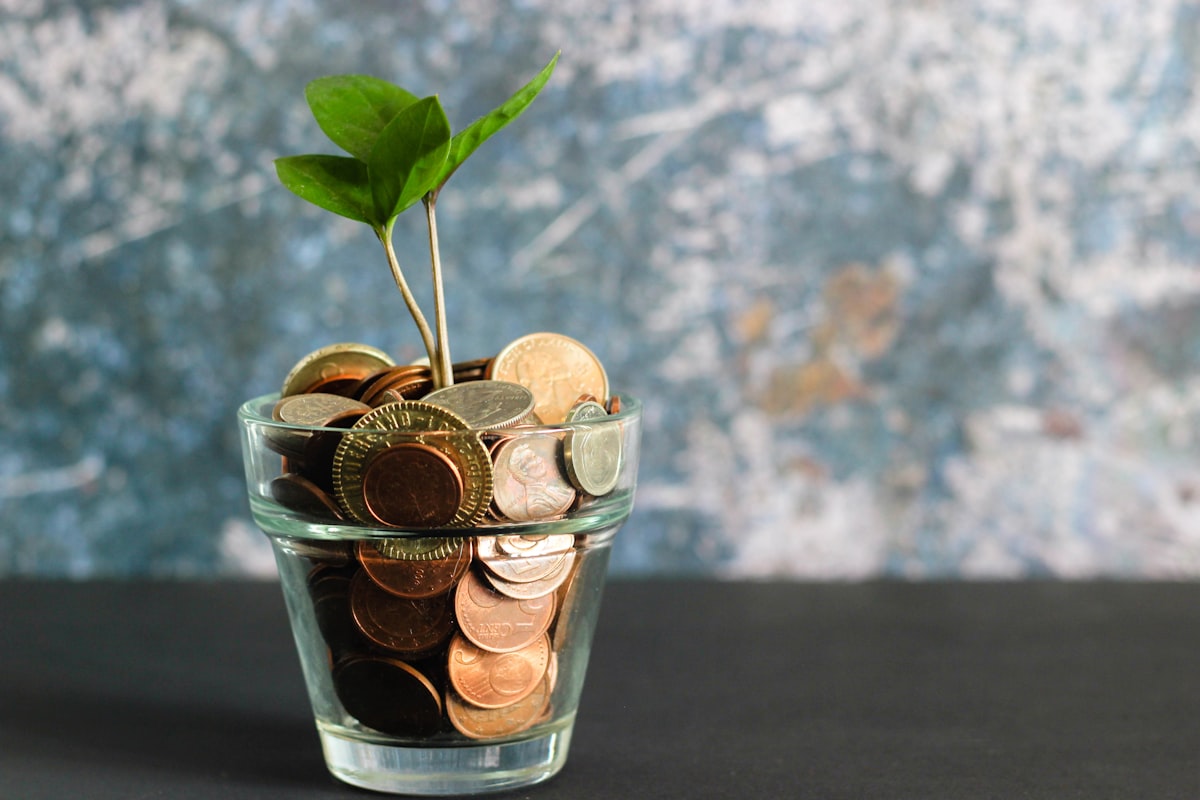 Green plant growing from a jar of coins — compound growth